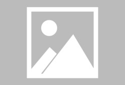 哈哈体育官网-斯图加特迎德甲关键赛，集结日状态回暖，底气十足，球队文化再被提及