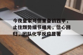 哈哈体育官网首页登录-皇家马德里连夜赶回马德里