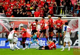 登杆前电杆检查的规定